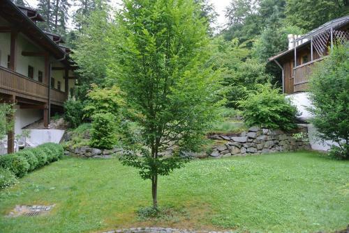 Hotel Zwieseler Waldhaus