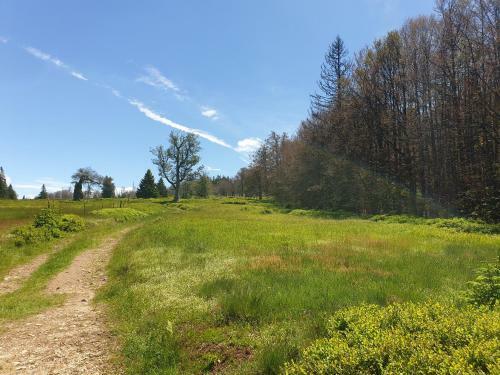 Apartamento Haus Bergblick