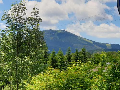 Apartamento Haus Bergblick