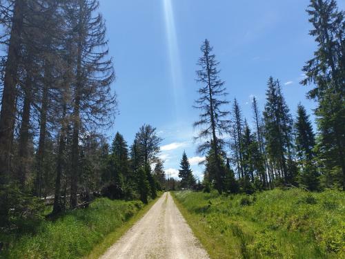 Apartamento Haus Bergblick