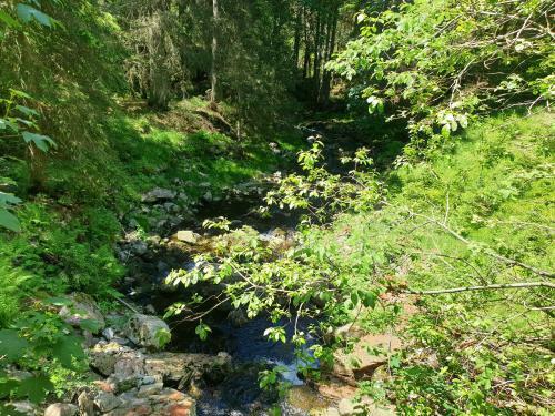 Apartamento Haus Bergblick