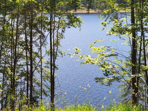 Apartamento Haus Bergblick