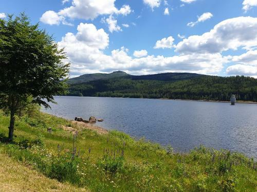 Apartamento Haus Bergblick