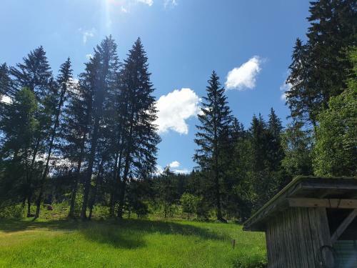 Apartamento Haus Bergblick