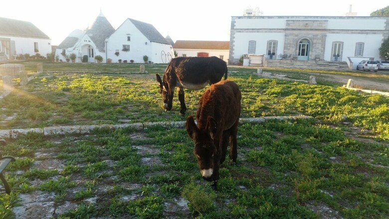 Bed & Breakfast Masseria Pozzo Tre Pile - Romantic Trullo