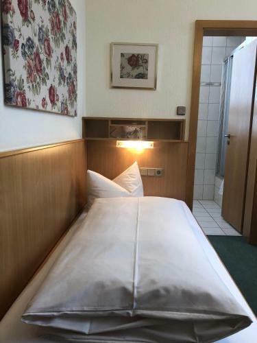Hotel Pfaffenm�hle Aschaffenburg/ Damm