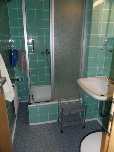 Hostal Hotel-pension Salzs�umerhof