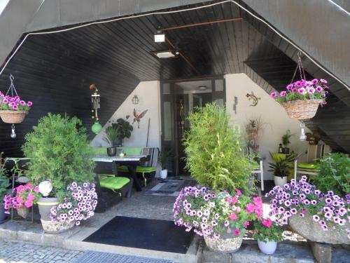 Hostal Hotel-pension Salzs�umerhof