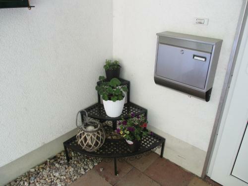 Hostal Greizer Kammh�tte Gastst�tte & Pension