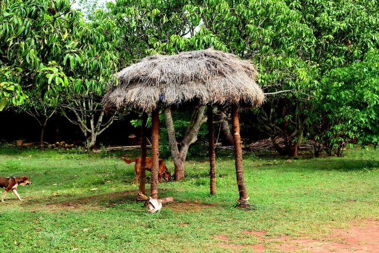 Apartamento Our Native Village Eco Resort