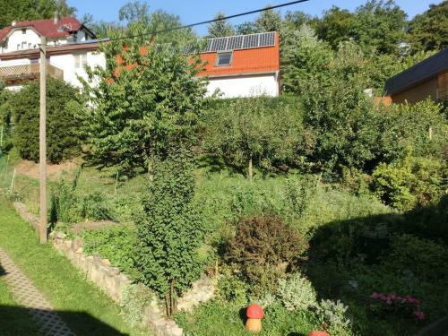Meadow-view Cottage In Winterstein Thuringia Near Ski Area