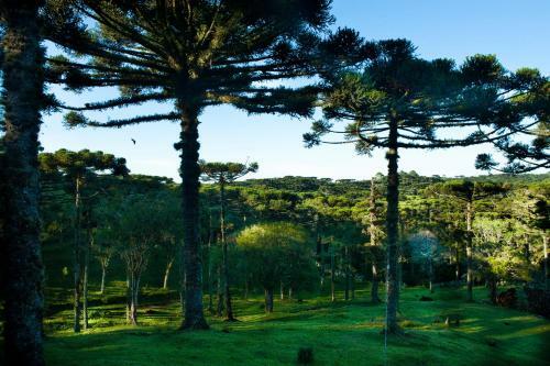 Hotel Das Arauc�rias