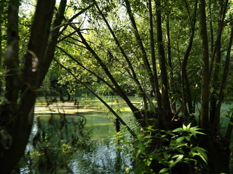 Agroturismo Agriturismo C� Dei Molini