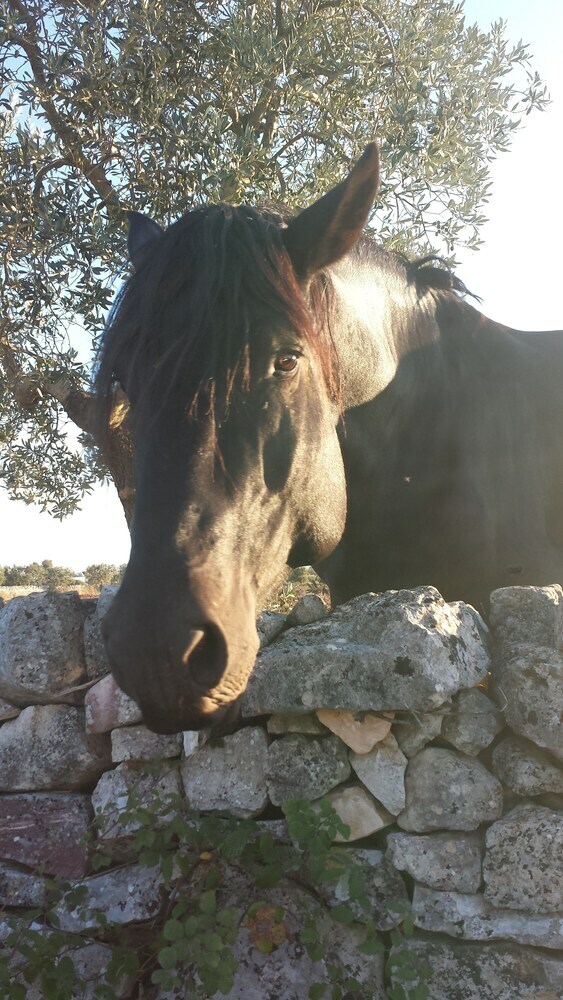 Agroturismo Masseria Gianca
