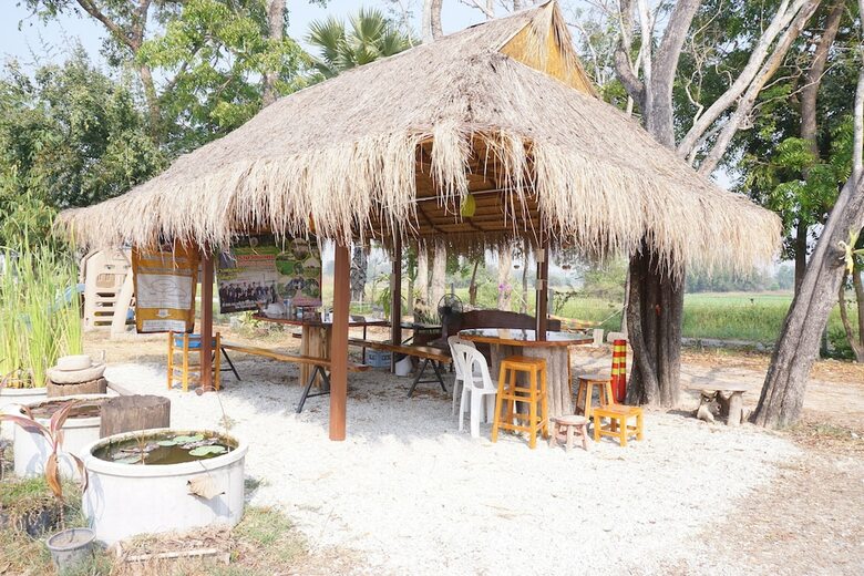 Hotel Bn Organic Farm Resort