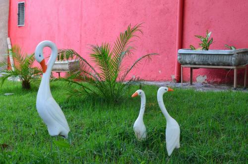 Hostal Pousada Vov� Alice