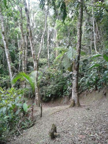 Hostal Pousada Recanto �guas Vivas