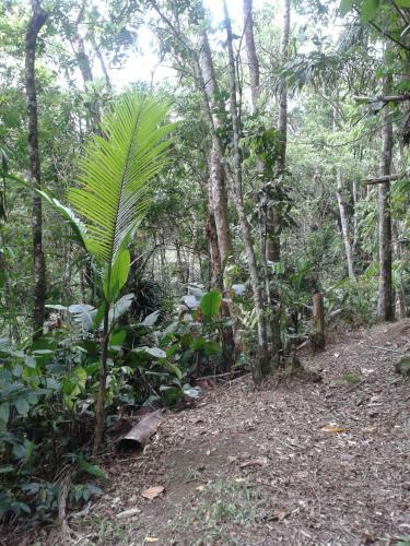 Hostal Pousada Recanto �guas Vivas
