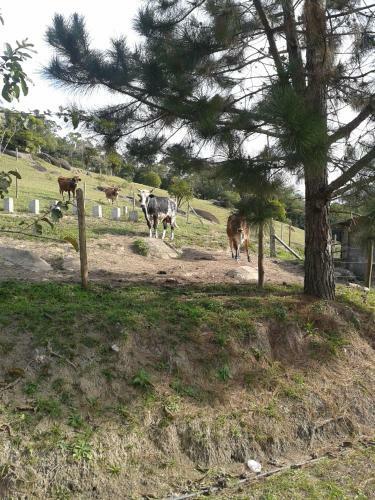 Hostal Pousada Recanto �guas Vivas