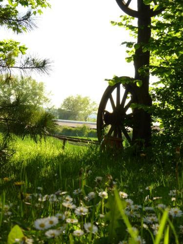 Hostal Pension Gr�nes Herz