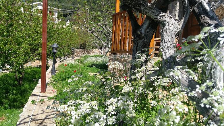 Bed & Breakfast Faralya Limon Hotel