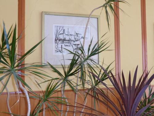 Bed & Breakfast Hotel Oymanns