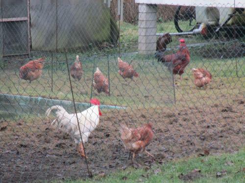 Hotel Landhaus Hammoor