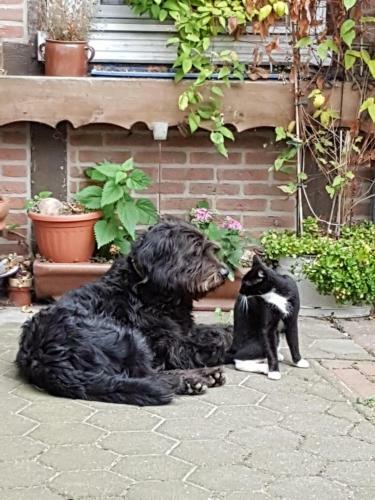 Hostal Ferienhof Hanum