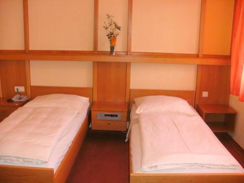 Hostal Gasthof Landhotel Gr�ner Baum
