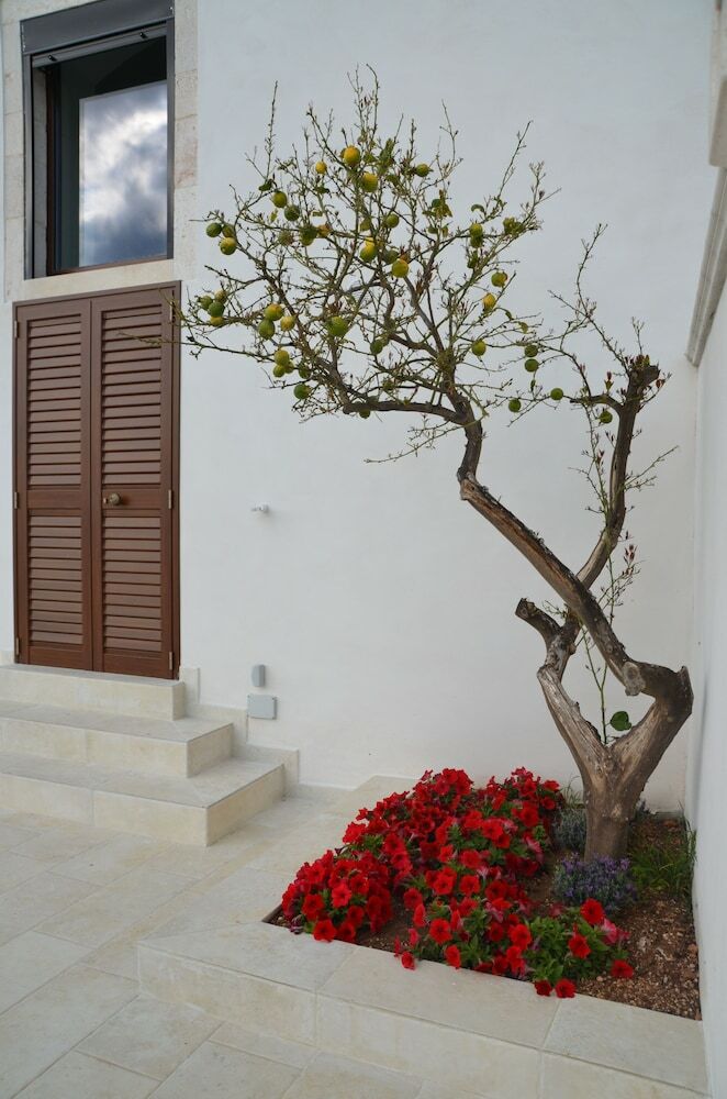 Bed & Breakfast Masseria Poli