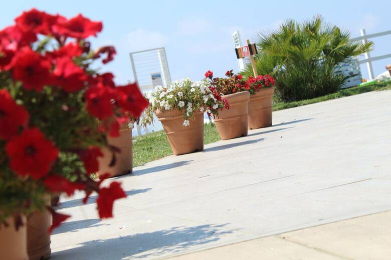 Hotel Bv Kalafiorita Resort