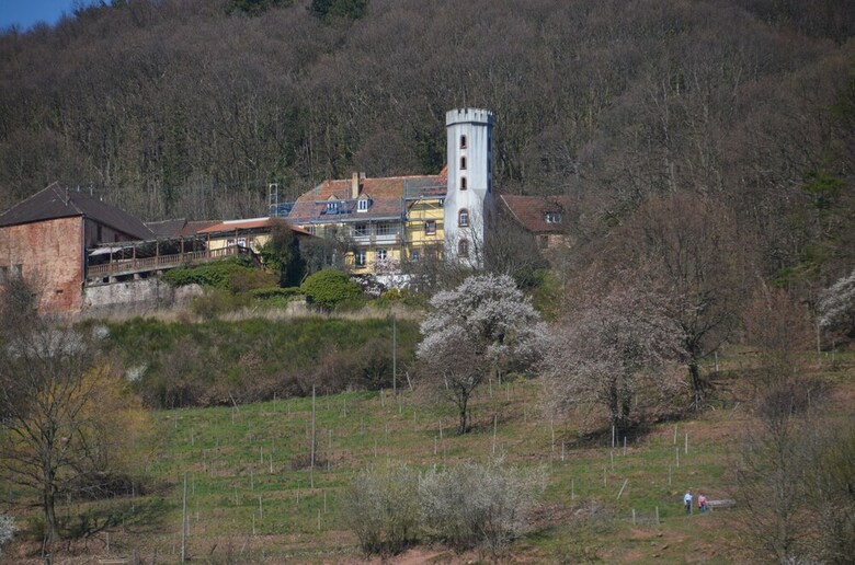 Hotel & Restaurant Castell