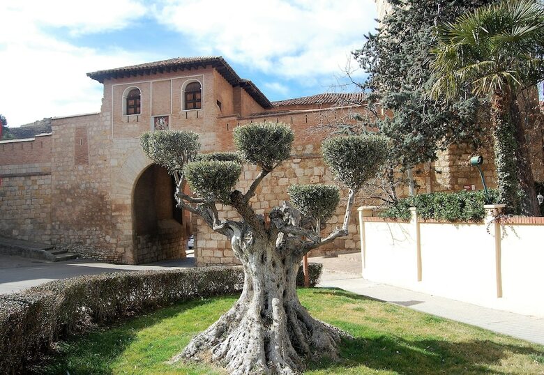 Apartamentos Daroca Alojamientos