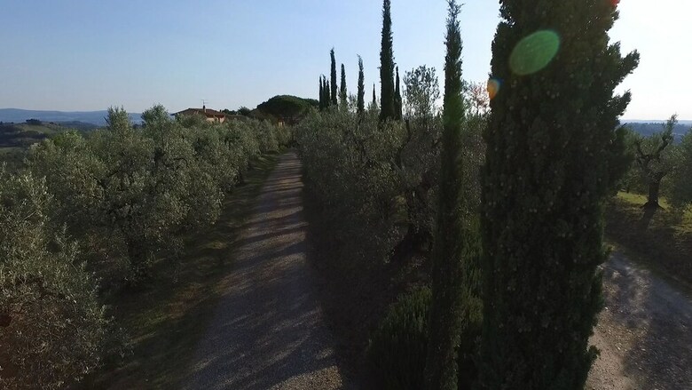 Agroturismo La Rocca Di Montalbino