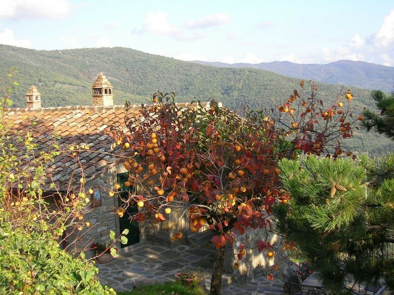 Agroturismo Agriturismo Casale Della Torre