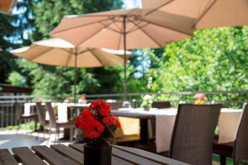 Restaurant Niedm�hle Land & Genuss Hotel
