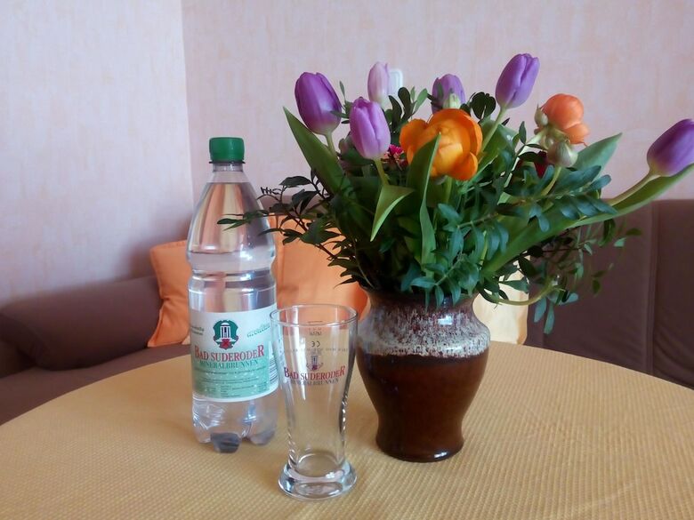 Apartamento Ferienwohnung Fr�hlich