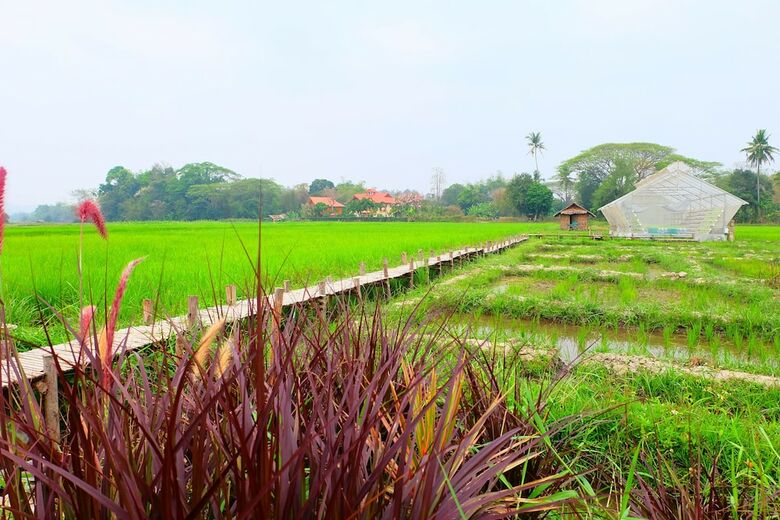 Hotel Nanee Maerim Lake View