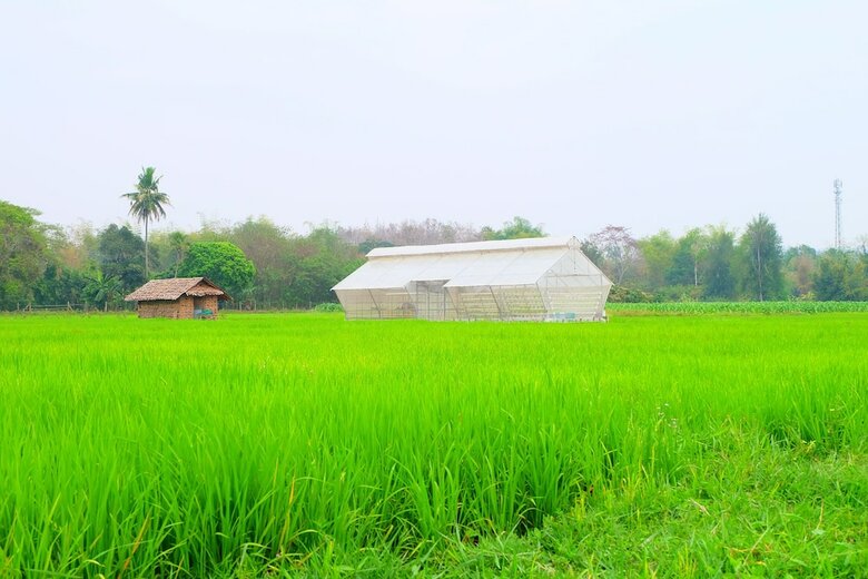 Hotel Nanee Maerim Lake View
