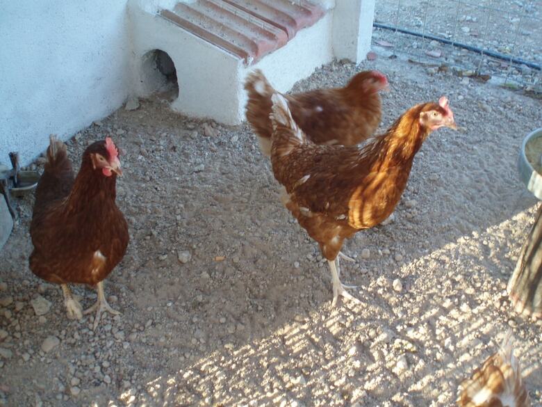 Agroturismo Casa Rurales Ventaseca