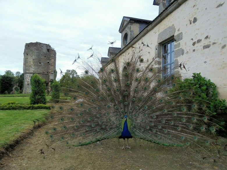 Hotel Ch�teau de La Chasse-guerre