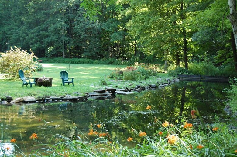 Wellnesste Lodge And Cabin Rentals