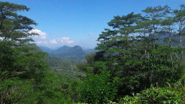 Apartamento Handunkanda Eco Resort
