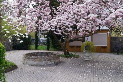 Hotel Am Kurpark
