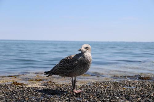 Hostal Mein Urlaub Auf Sylt