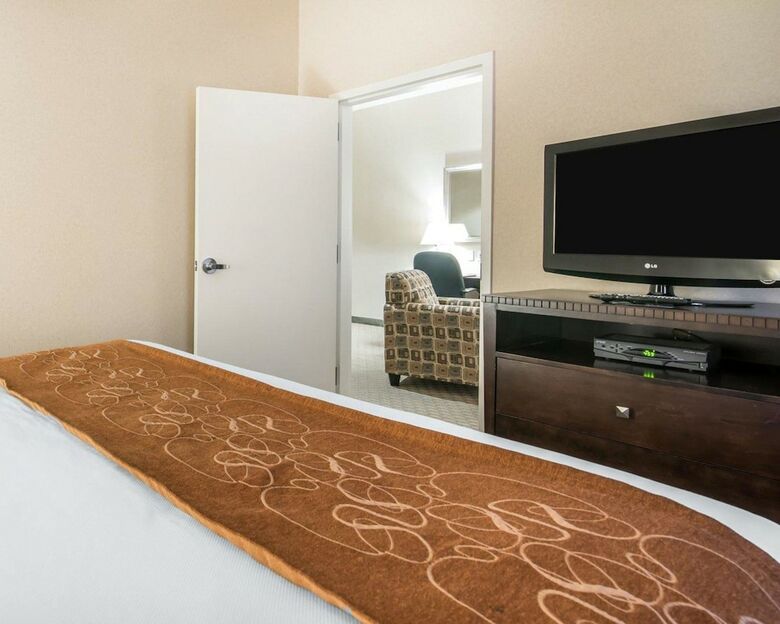 Hotel Comfort Suites Vestal Near University