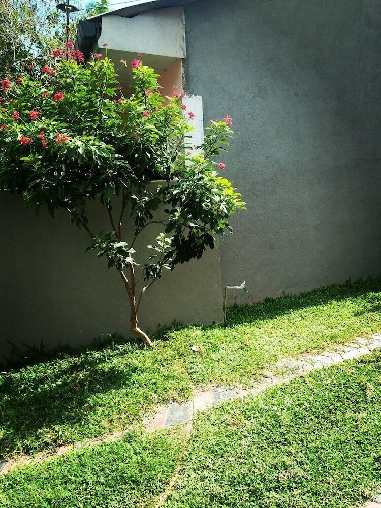 Hotel Vihara Safari Homestay