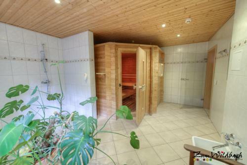 Apartamentos Zum Wildbach Schierke - Harz