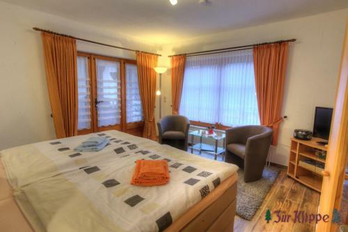 Apartamentos Zum Wildbach Schierke - Harz