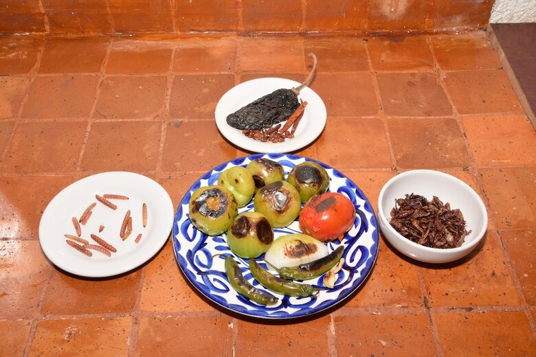 Bed & Breakfast Casa Coyoacan